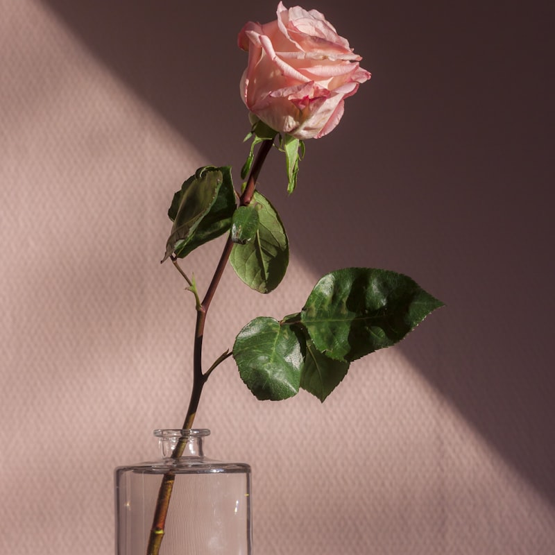 Bouquet rond romantique