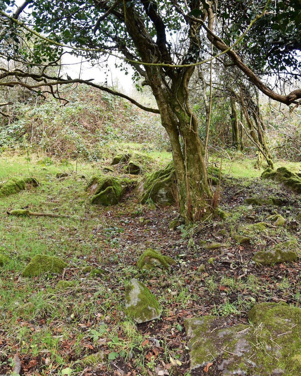 Terrain en friche avant chantier