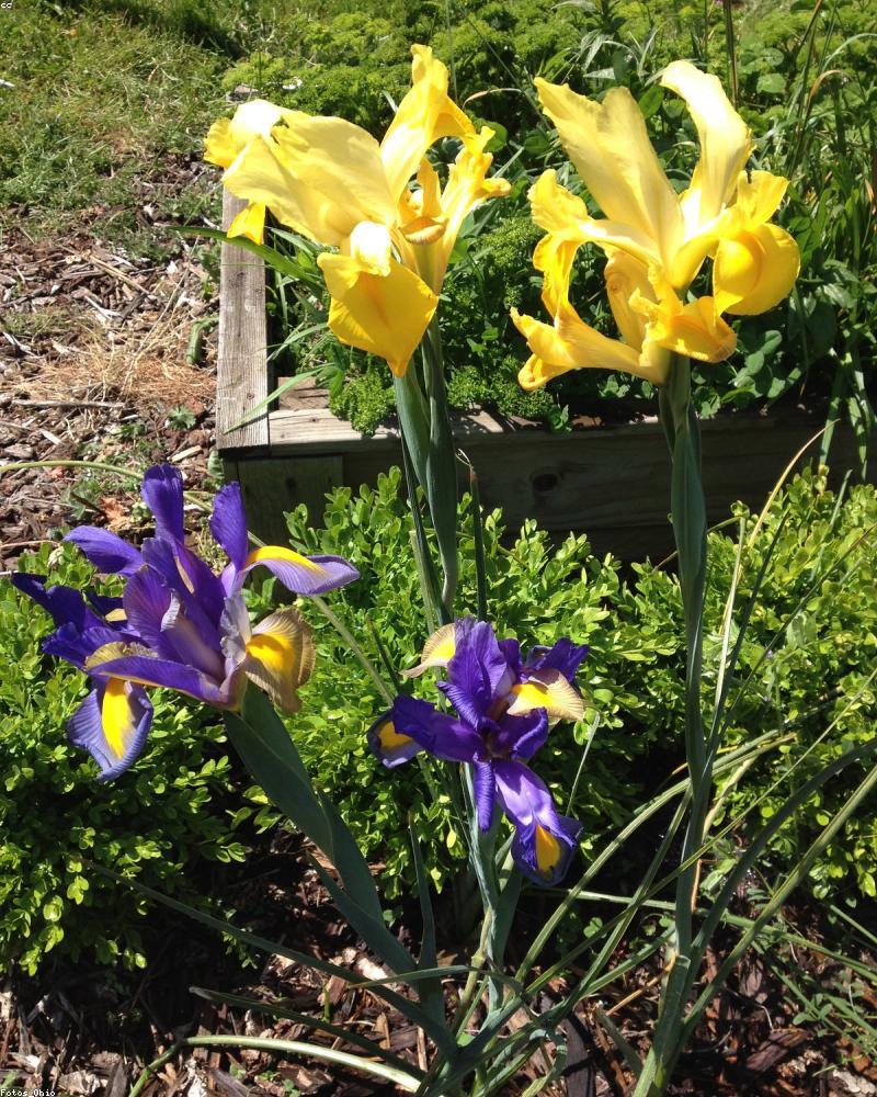 Création de jardin