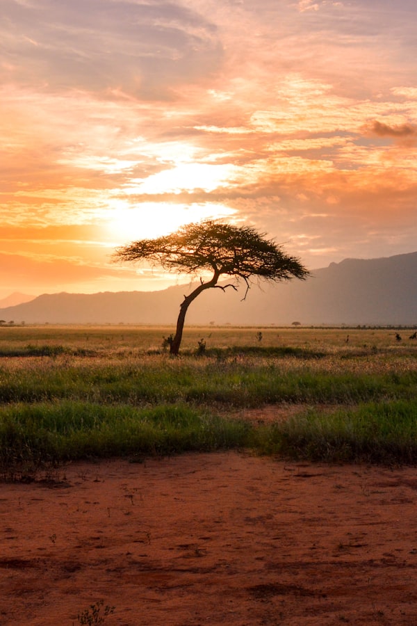 Tanzanie